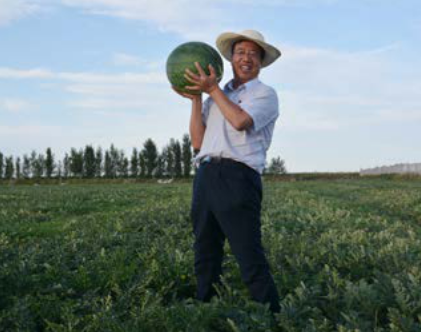 找準農業(yè)“痛點”，新發(fā)地布局農產品B2B title=