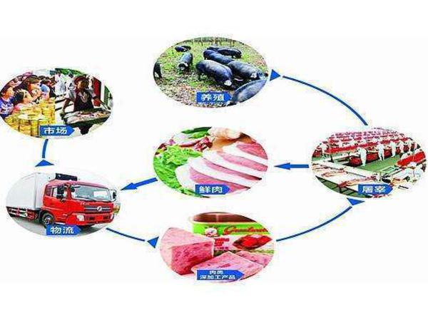 凍品批發(fā)網(wǎng)上交易？肉交所助你搶占交易先機 title=
